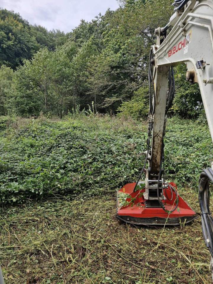 Travaux paysagers Baraqueville